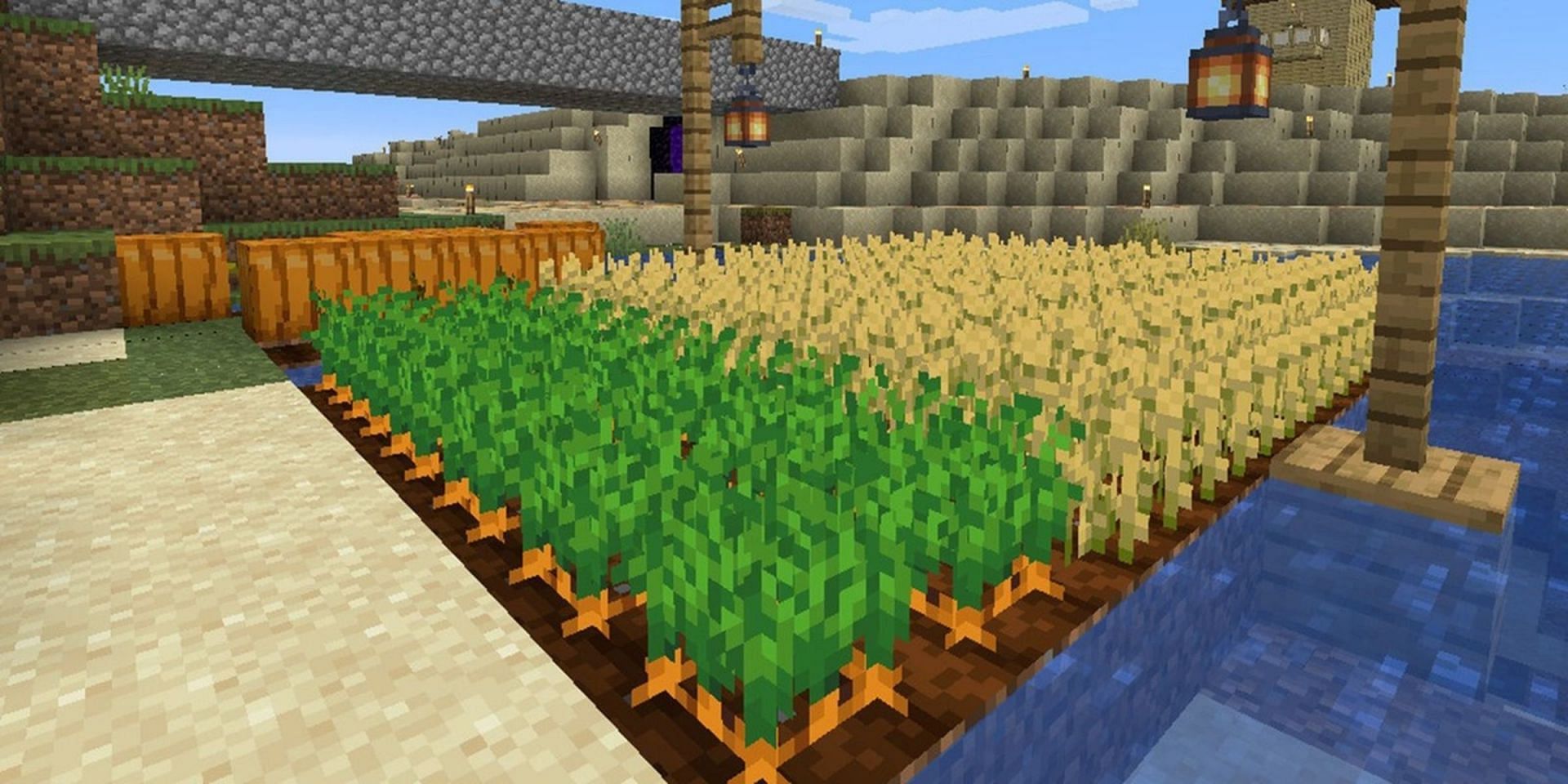 Crop farming can take many forms in Minecraft (Image via Mojang) 