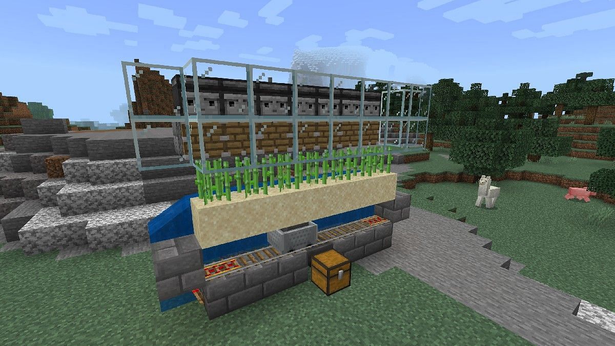 Sugar cane farms give the most resources (Image via Minecraft)