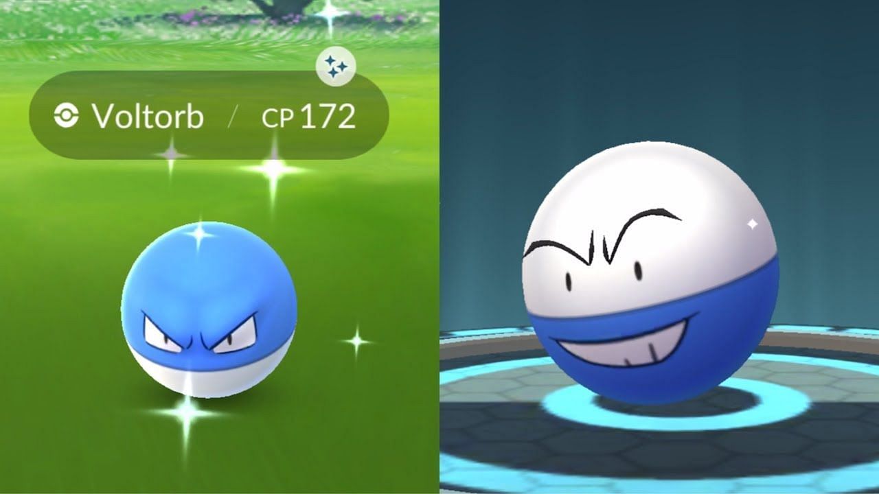 Shiny Voltorb and Electrode sport blue halves to their bodies instead of red (Image via Niantic)