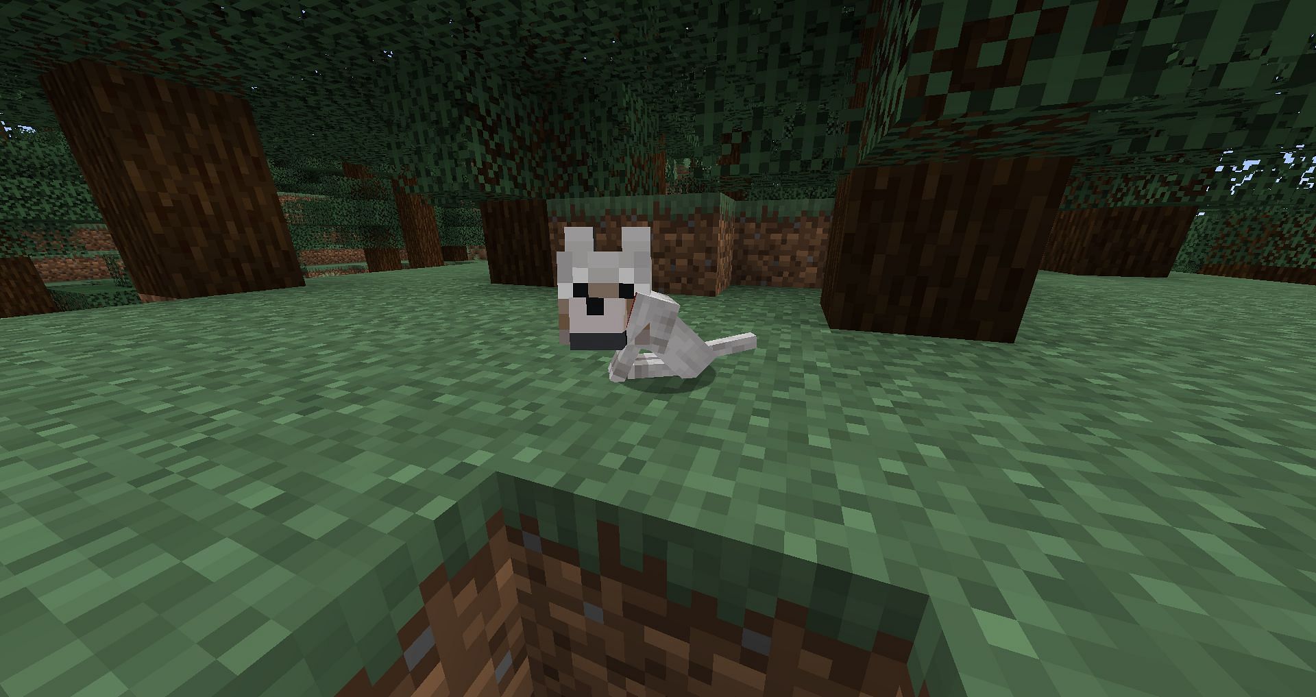 Baby wolf (Image via Minecraft)