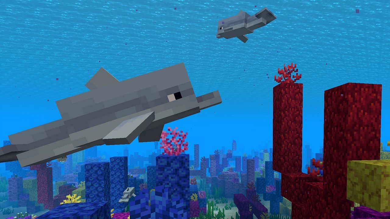 Dolphins are highly useful (Image via Minecraft)