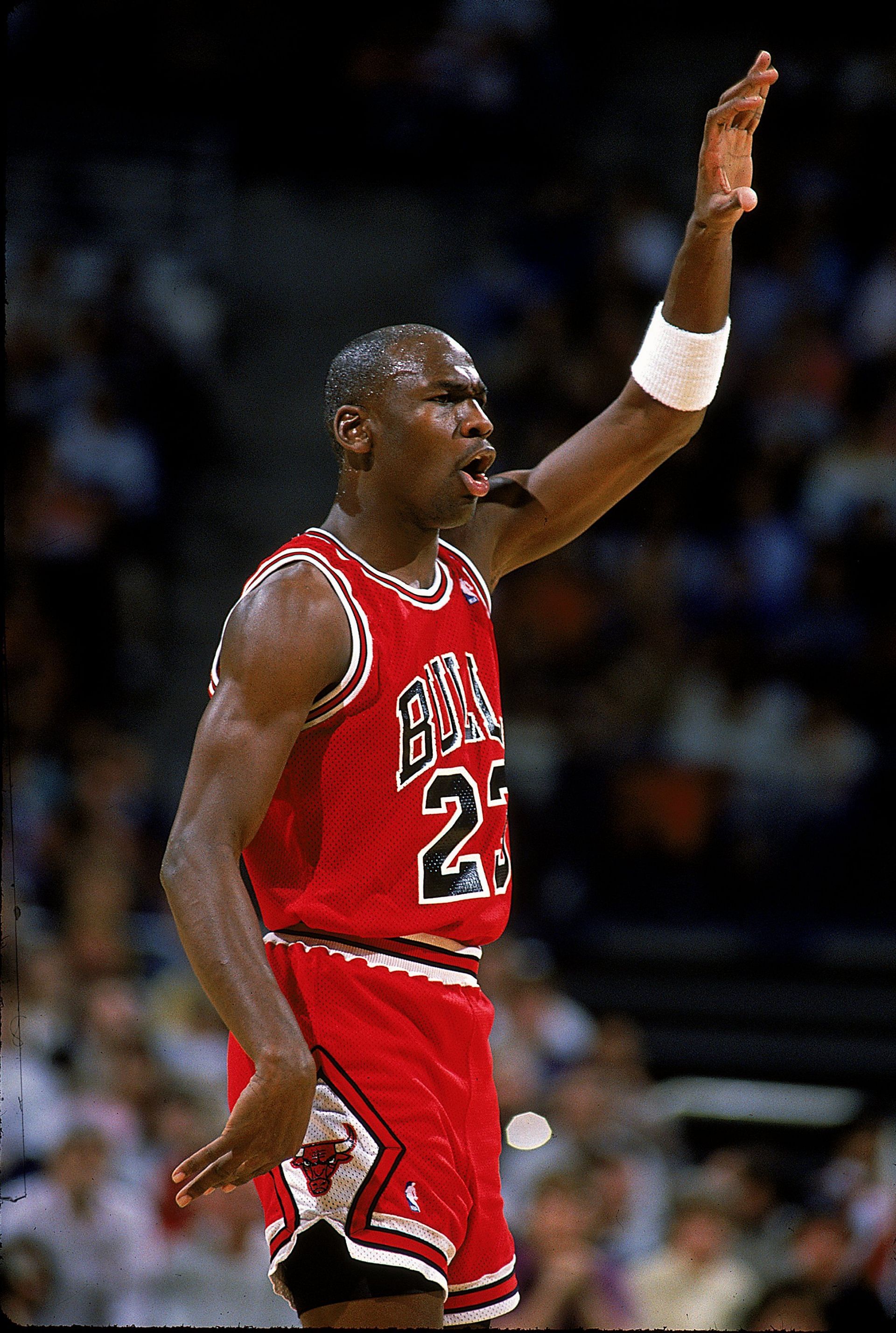 Michael Jordan #23