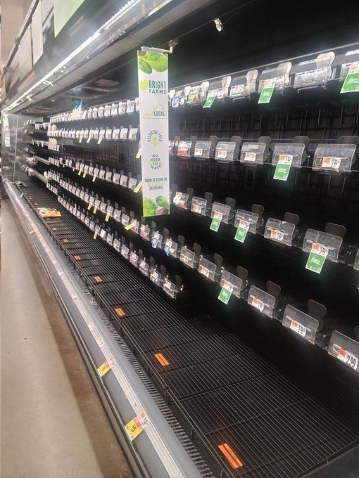 Why are grocery store shelves empty? Shortage explained as Twitter