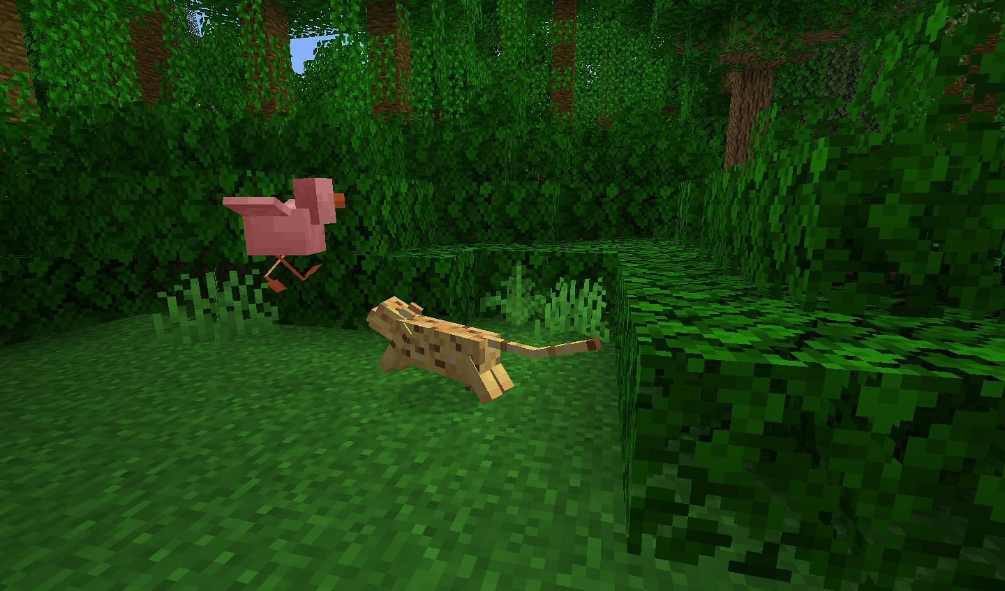 Ocelot attacking chicken (Image via Minecraft Wiki)