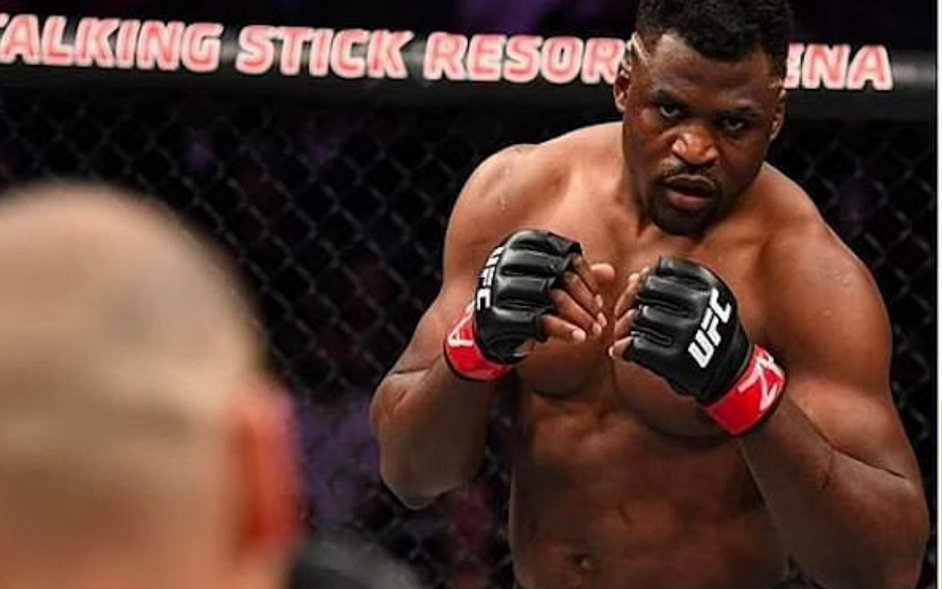Francis Ngannou has plans to conquer the world of boxing down the line