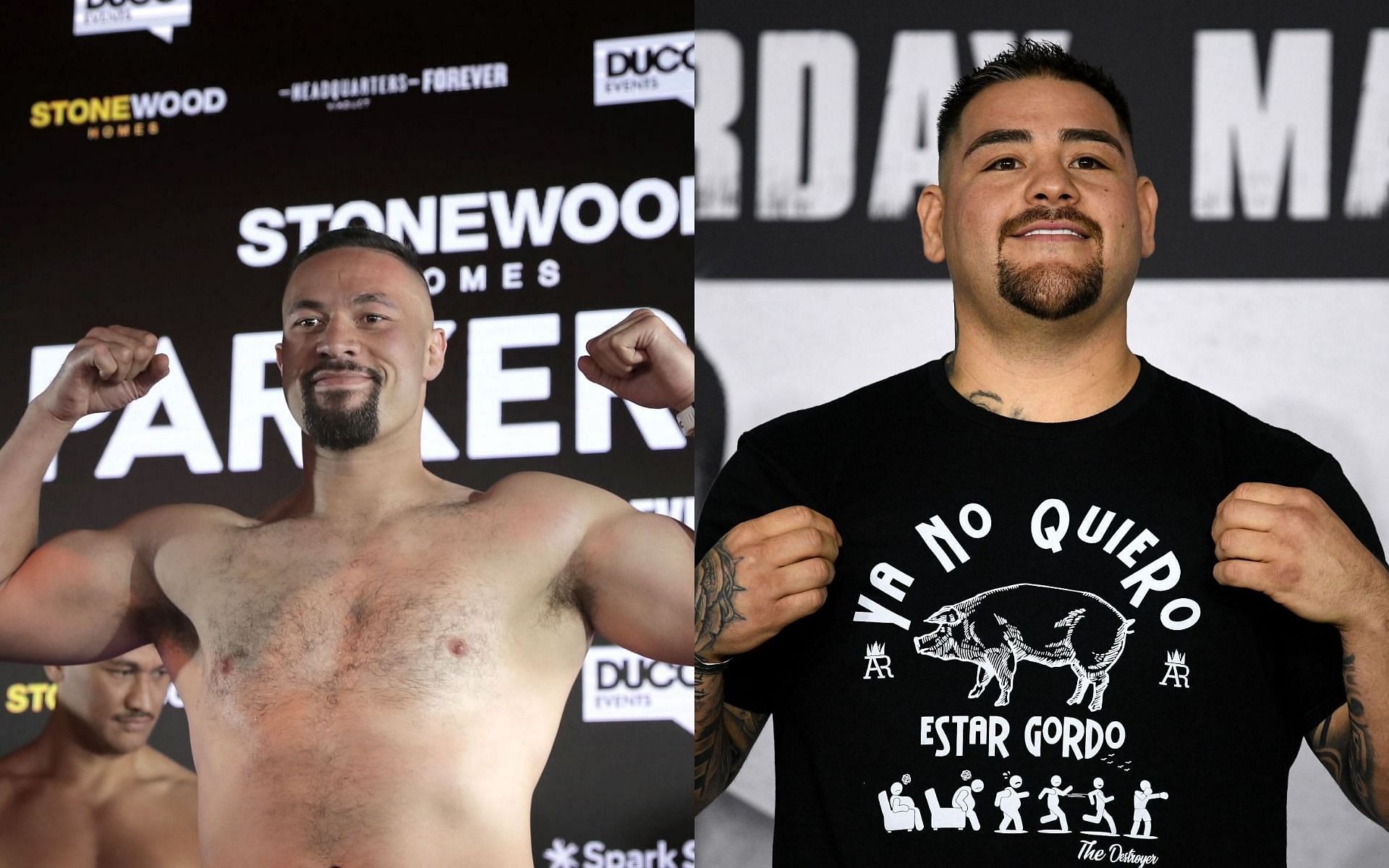 Joseph Parker (L) may once again be squaring off with Andy Ruiz (R)