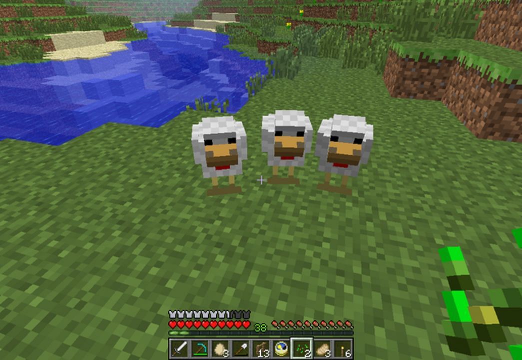 Chicken and parrots adore seeds of any type (Image via Mojang)