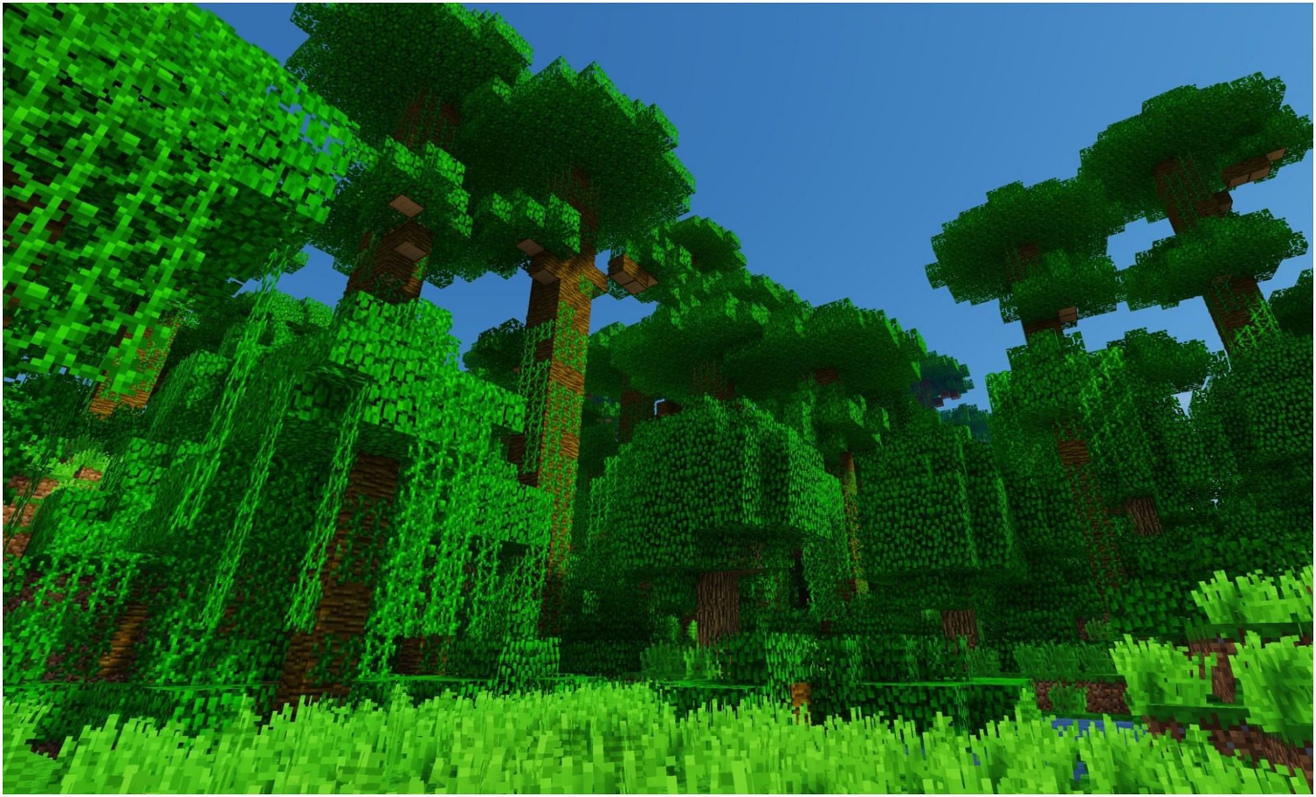 A jungle biome in Minecraft (Image via Minecraft)