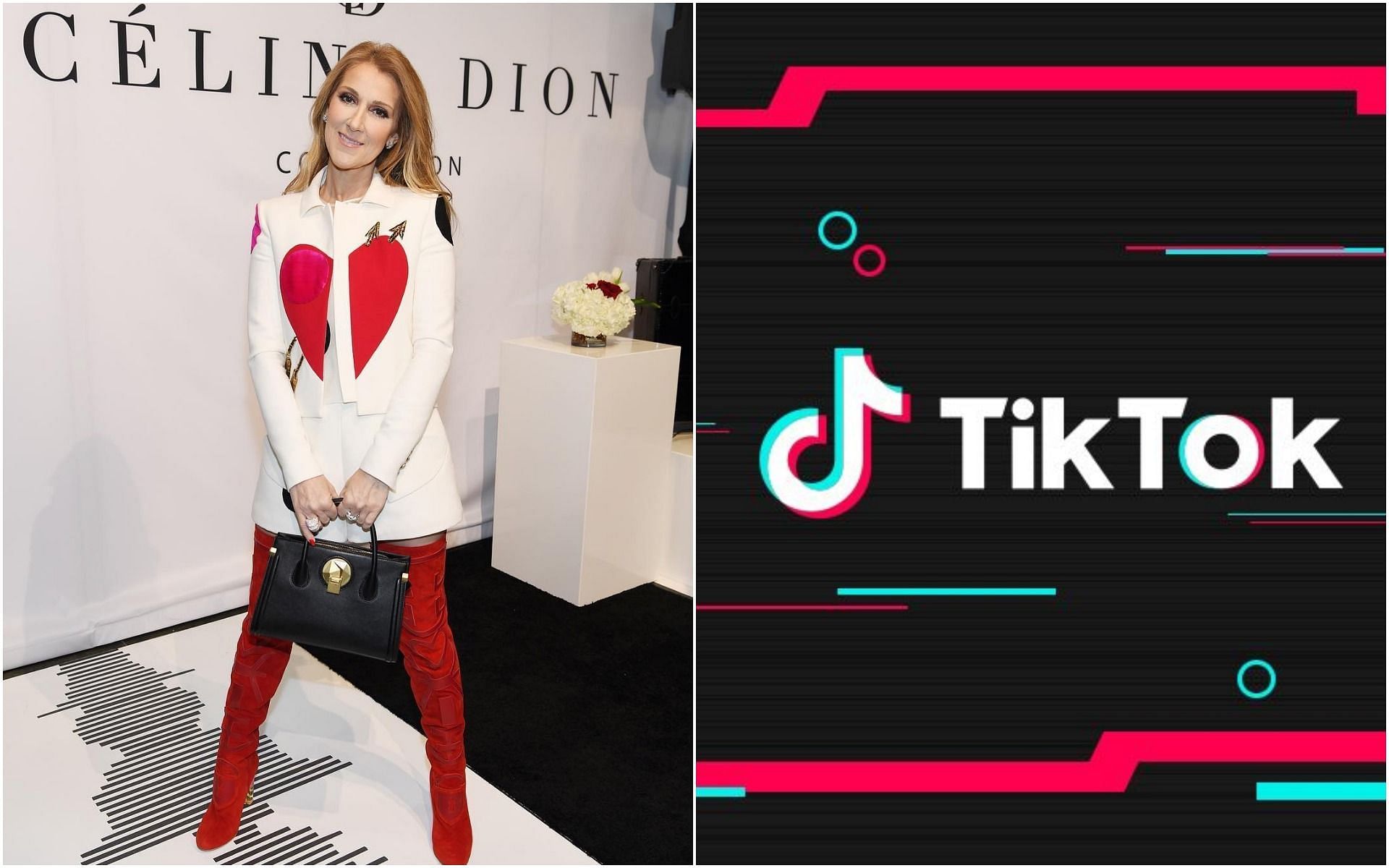 Celine Dion Challenge is going viral on TikTok (Images via Instagram/@celinedion and Facebook/@tiktok)