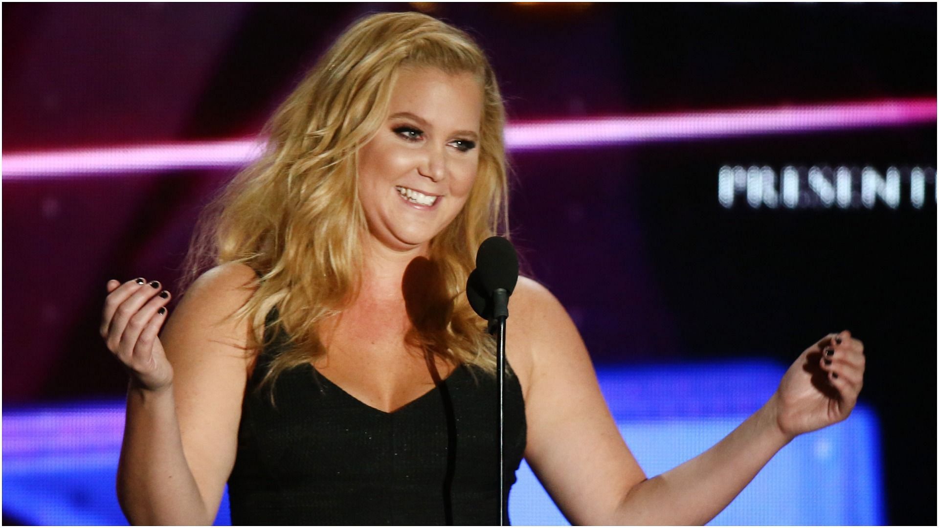 Amy Schumer has been pretty open about her health struggles on her social media platforms (Image via Getty Images/Mark Davis)