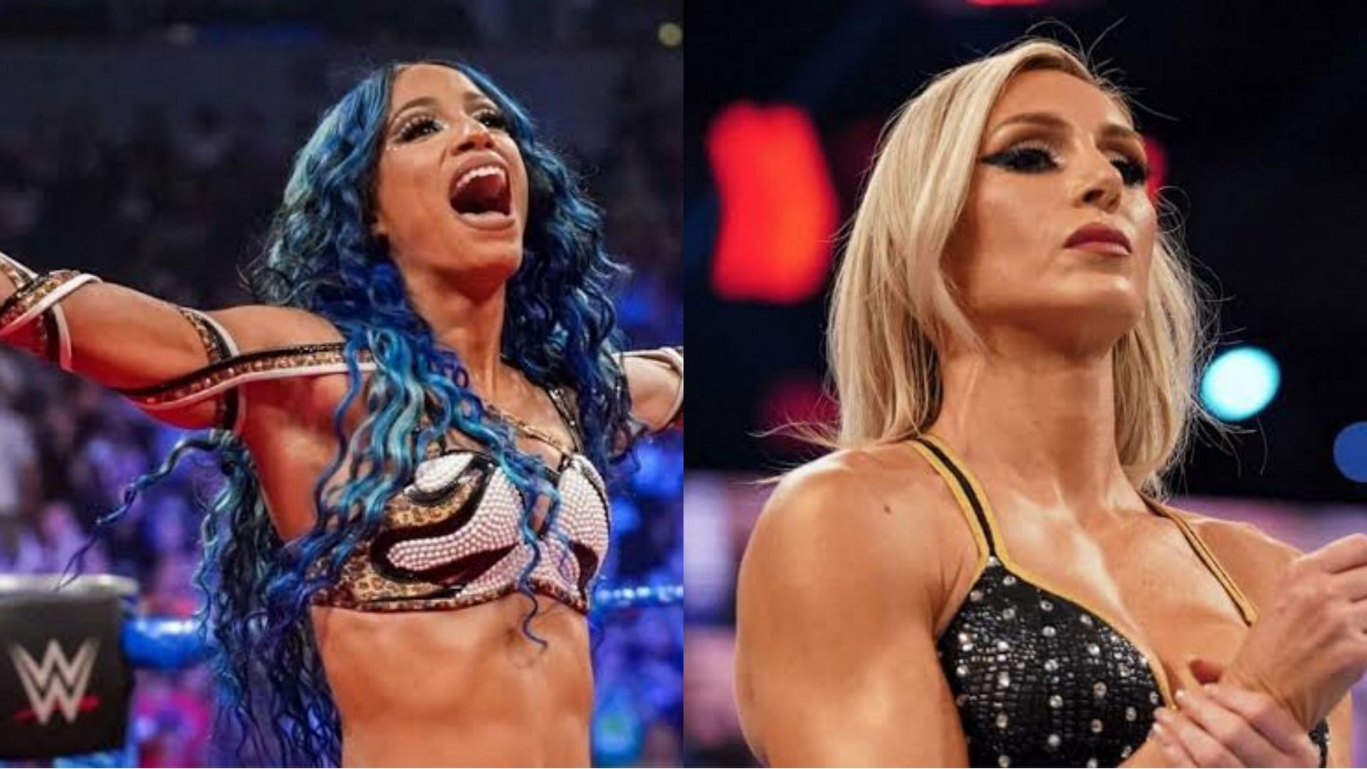 Sasha Banks sustained a serious leg injury at a recent live event in a match against Charlotte Flair