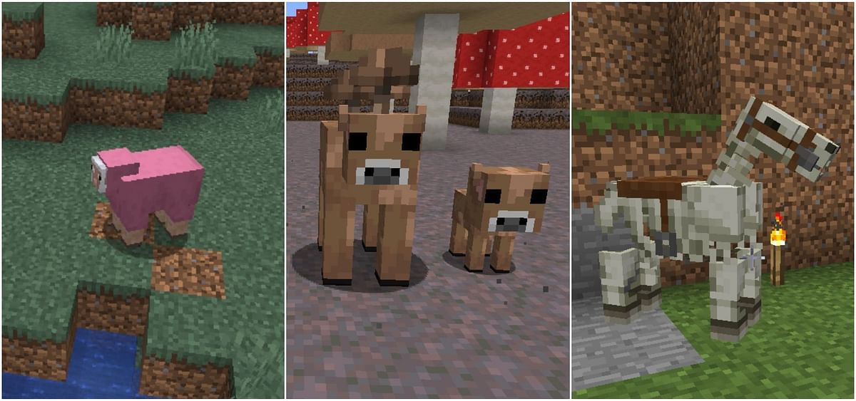 Top 5 Rarest Passive Mobs In Minecraft 118 Version 