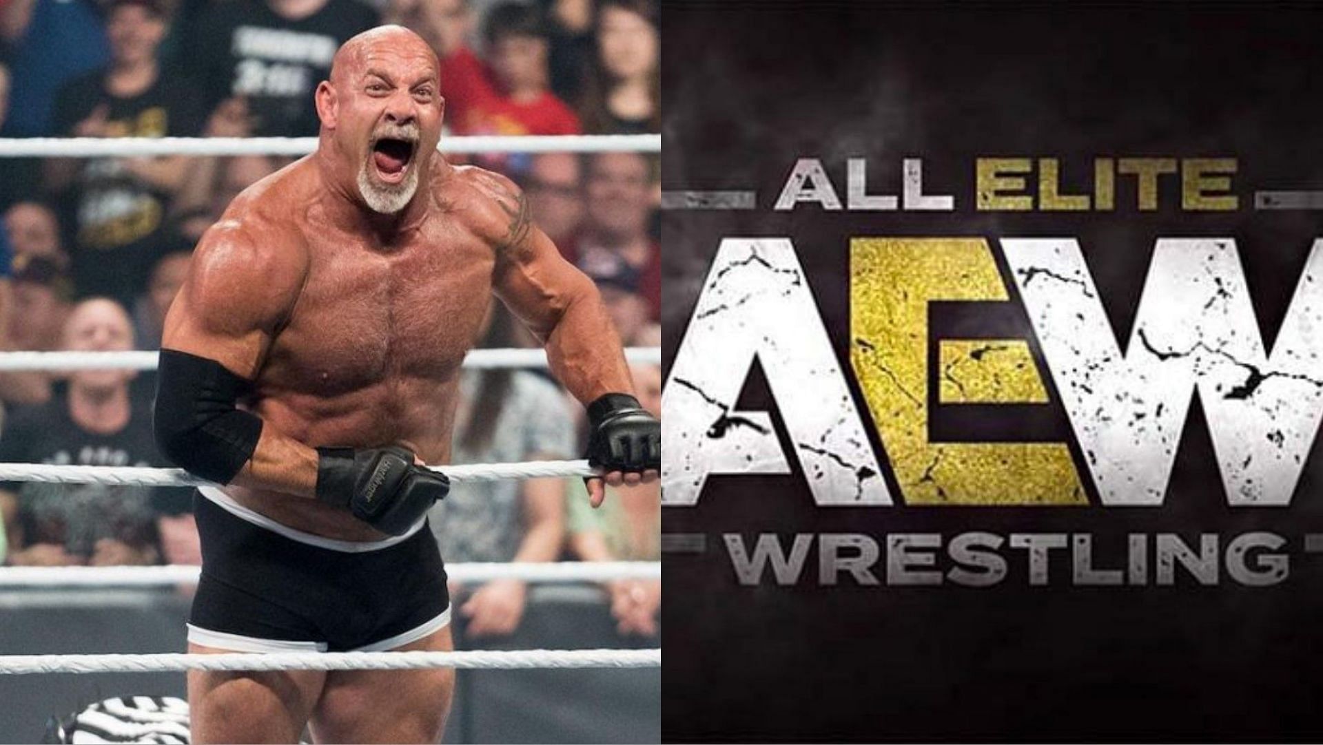 Goldberg is a WWE Hall of Famer!