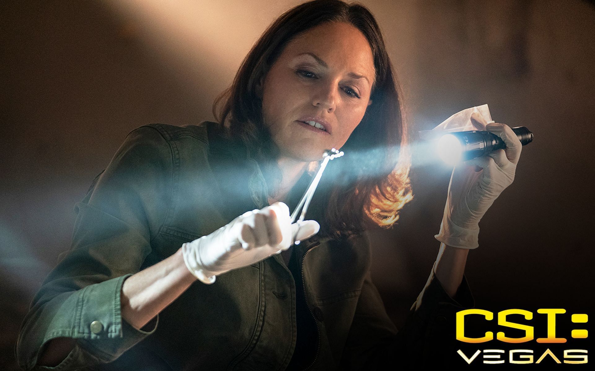 Jorja Fox in CSI Vegas (Image via Sporstkeeda)