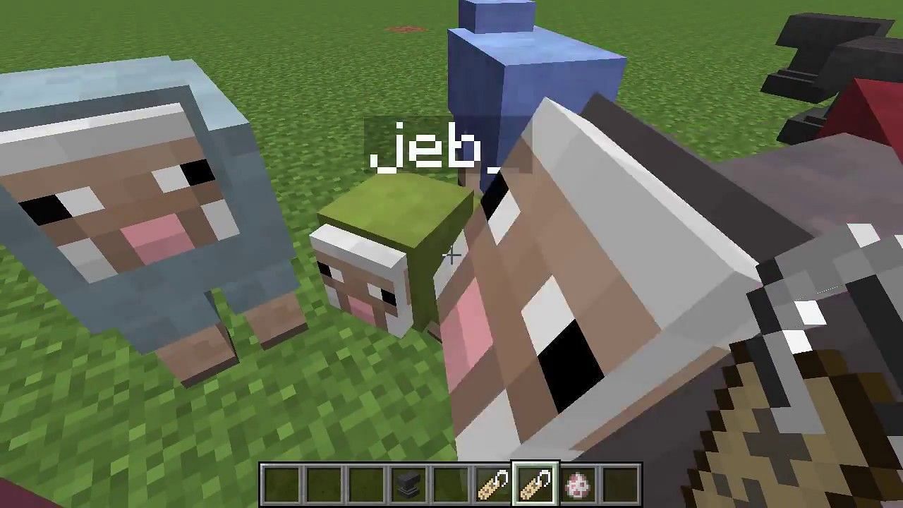 Naming a sheep jeb_ will cause it to shift through all available sheep colors (Image via Mojang)