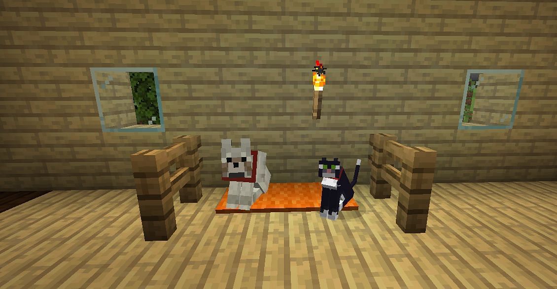 A tamed Wolf and Cat (Image via Minecraft)