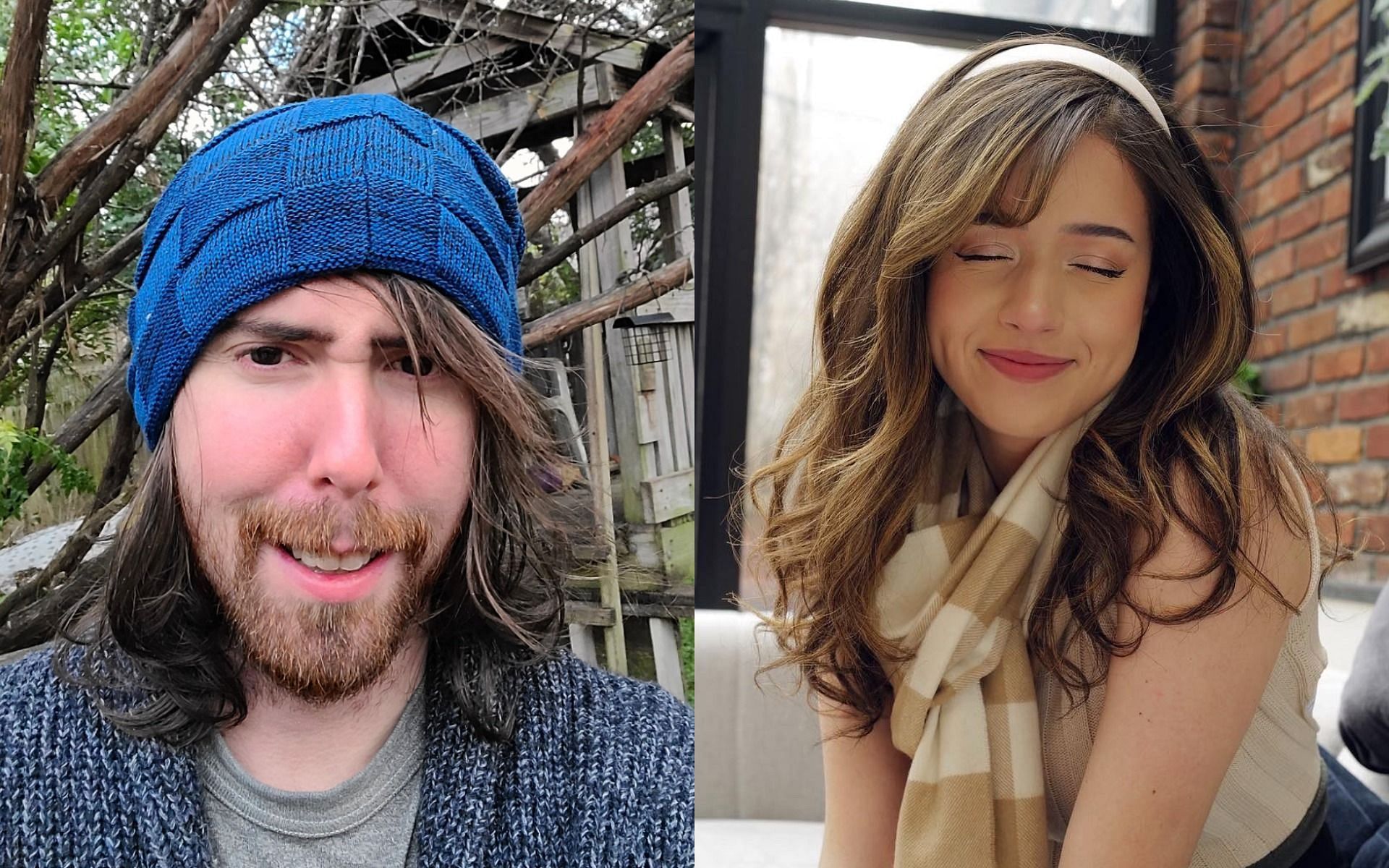 Asmongold defends Pokimane, hits back at rude comments from viewer (Image via Twitter/Asmongold/pokimanelol)