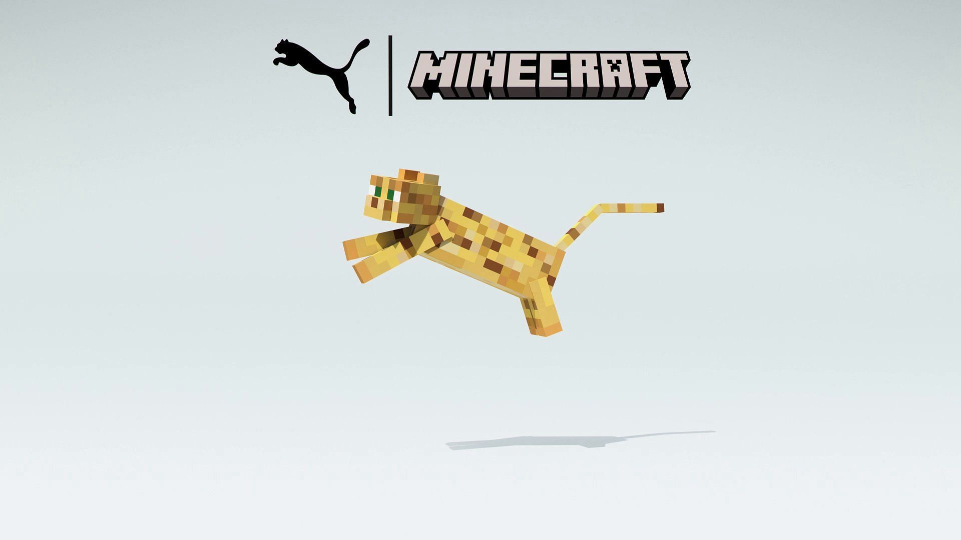 تم الإعلان عن تعاون رسمي مع Puma (الصورة من Mojang)