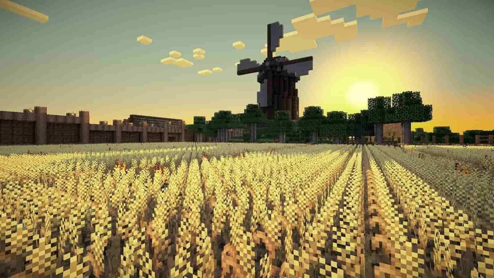 A vibrant wheat farm (Image via Mojang)
