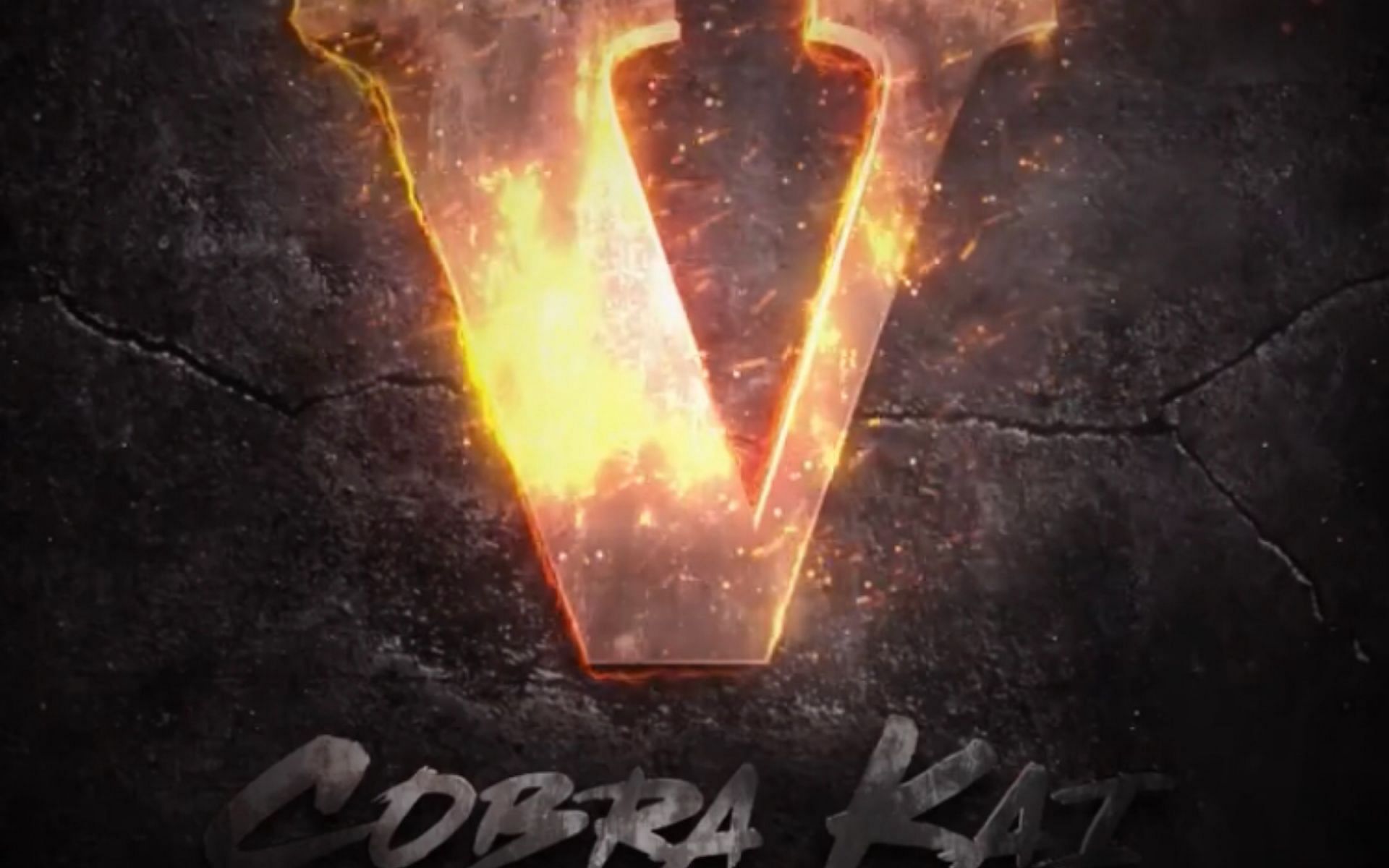 Cobra Kai season 5 - @cobrakaiseries