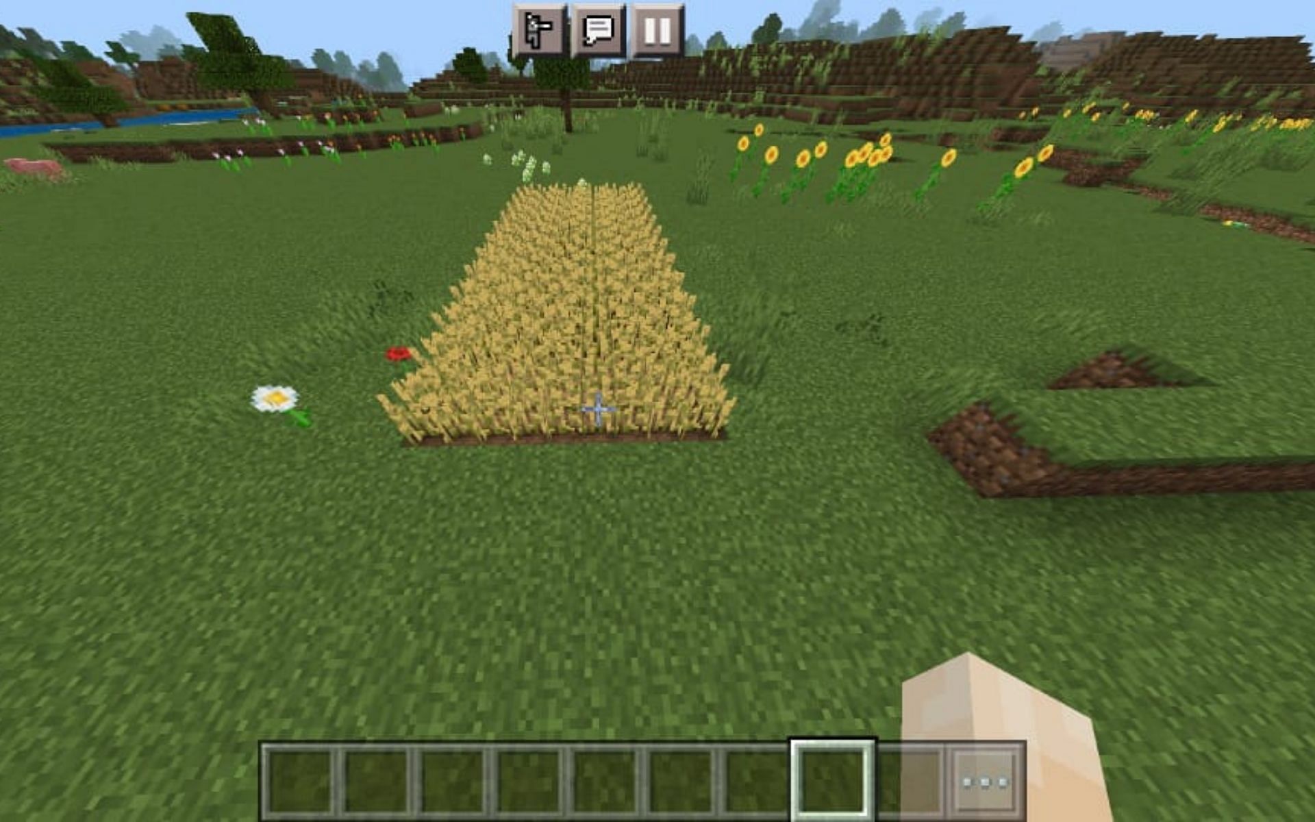 A patch of wheat farm (Image via Minecraft)