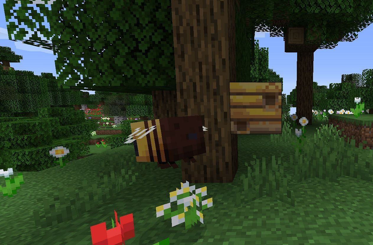 النحل بالقرب من الزهور (الصورة من Minecraft Wiki)
