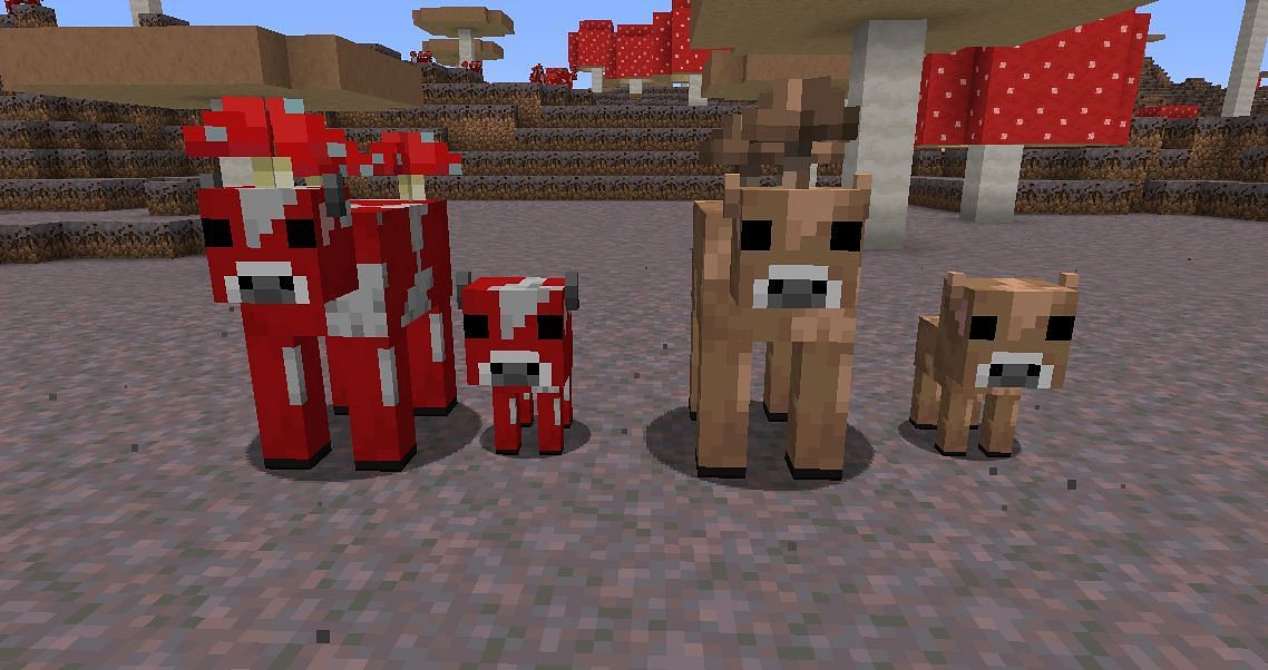 Red and brown Mooshrooms (Image via Minecraft Wiki)