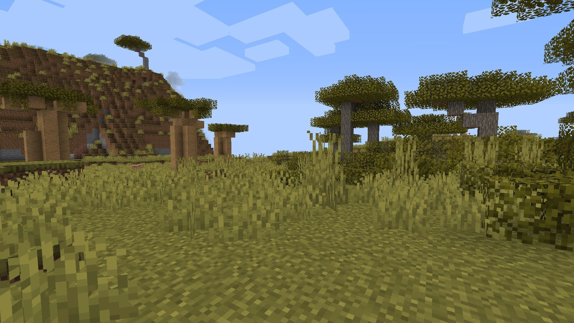 Savanna biomes have plenty of room much like plains biomes (Image via Mojang)