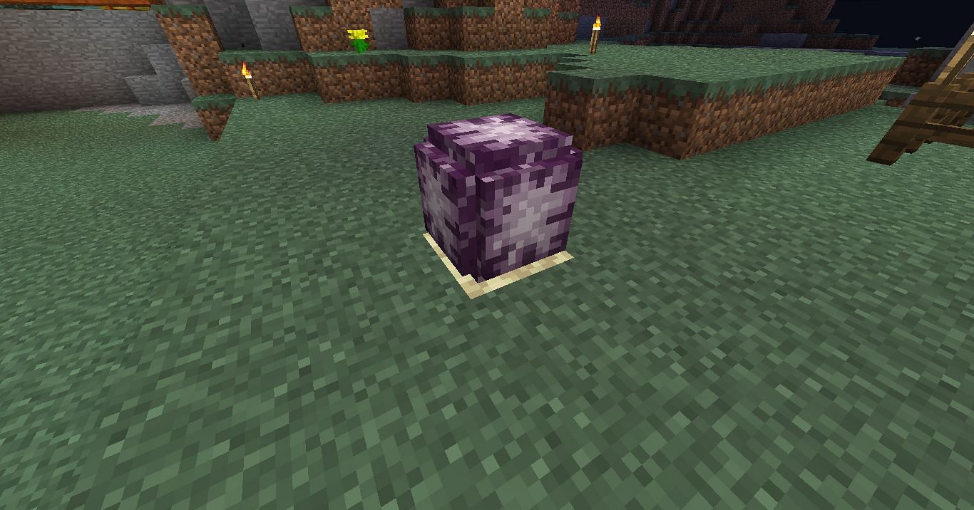 زهرة الكورس على حجر النهاية (الصورة من Minecraft)