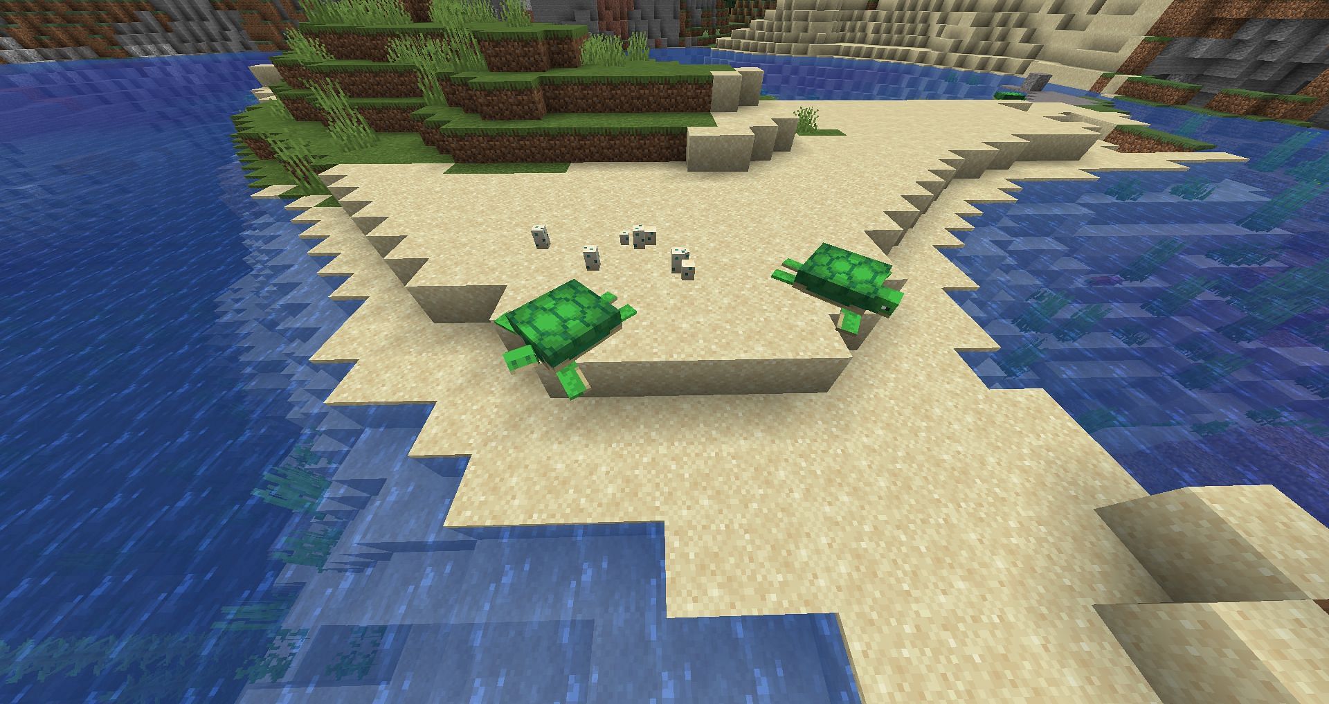 Turtles with their eggs (Image via Minecraft Wiki)
