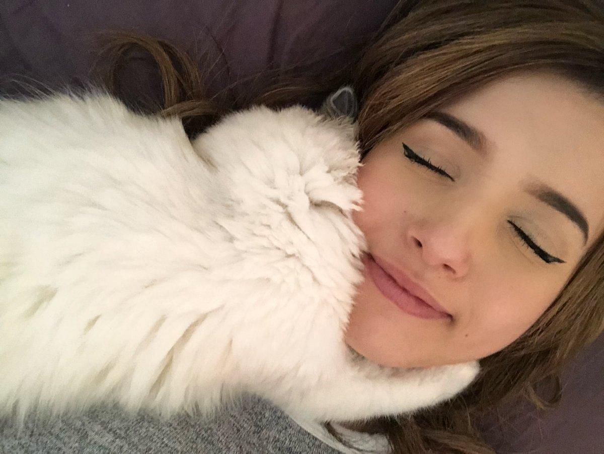 Pokimane recounts her horrifying experience of almost losing Mimi (Image via Pokimane on Twitter)