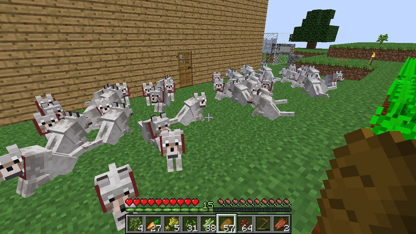 Wolf Army (Image via Mojang)