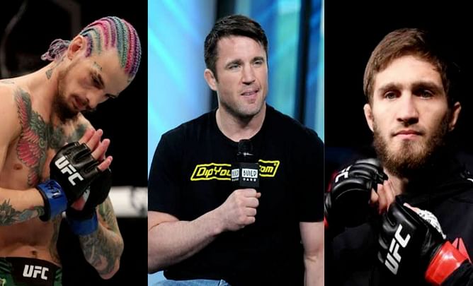 Chael Sonnen weighs in on Said Nurmagomedov claiming Sean O'Malley ducked him - "A real schoolyard tactic"