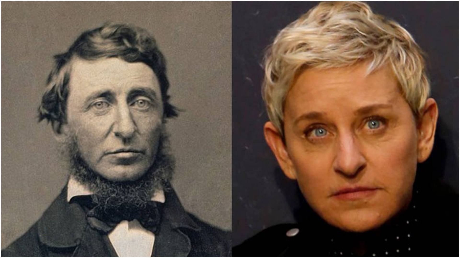 Ellen DeGeneres and her lookalike (Images via Wikimedia Commons &amp; AOL)