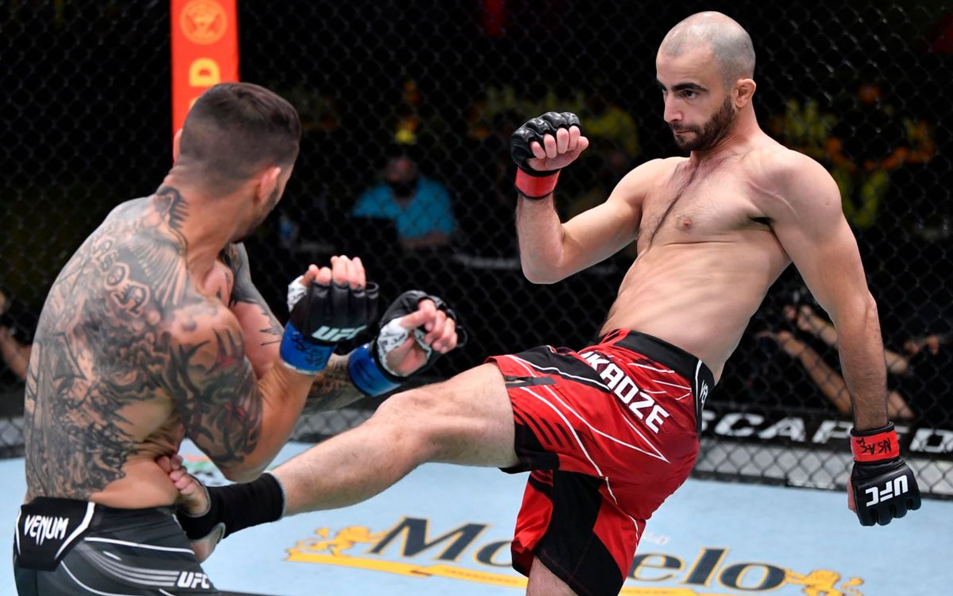 Could Giga Chikadze earn a UFC featherweight title shot with a win over Calvin Kattar this weekend?