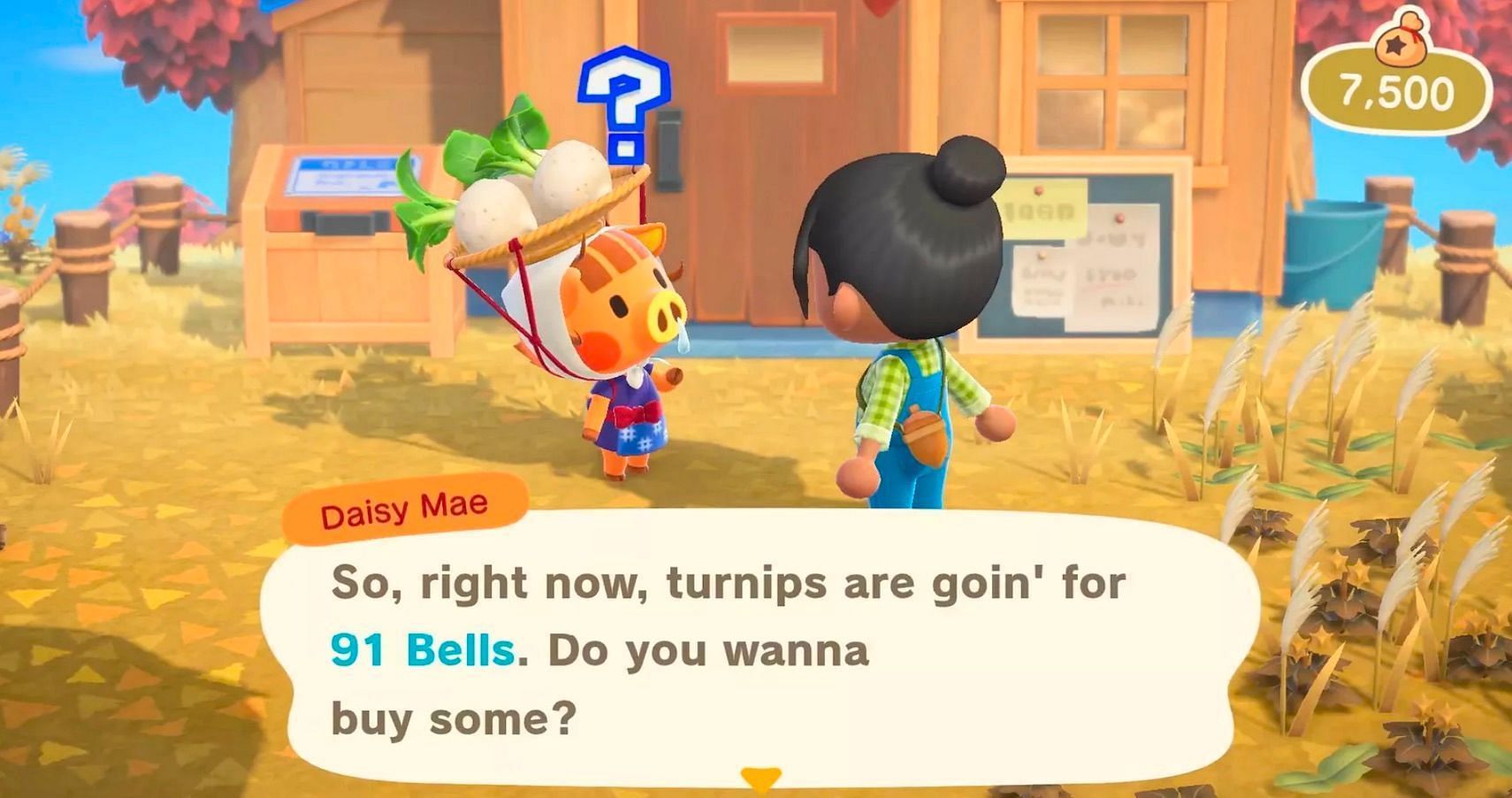 Turnips are the best way to make a lot of bells fast (Image via Nintendo)