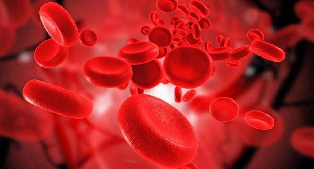 हीमोग्लोबिन की कमी के कारण और लक्षण - Hemoglobin Ki Kami Ke Kaaran Aur Lakshan (source- google images)
