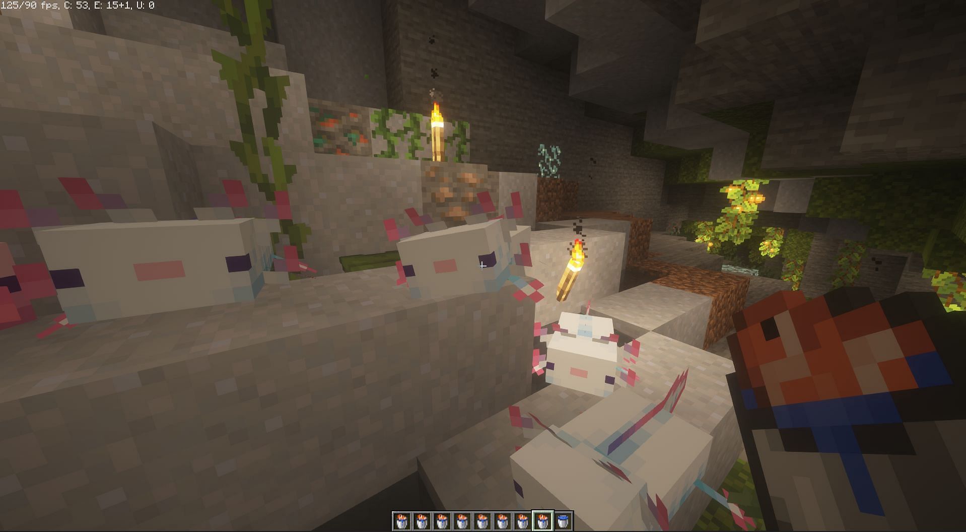 ترويض وتربية Axolotls (الصورة من Minecraft)