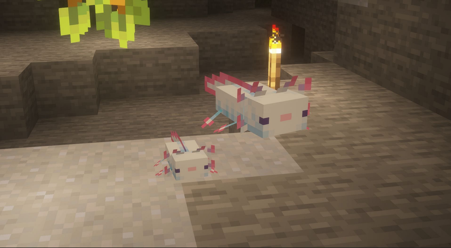 Baby Axolotl (الصورة من Minecraft)