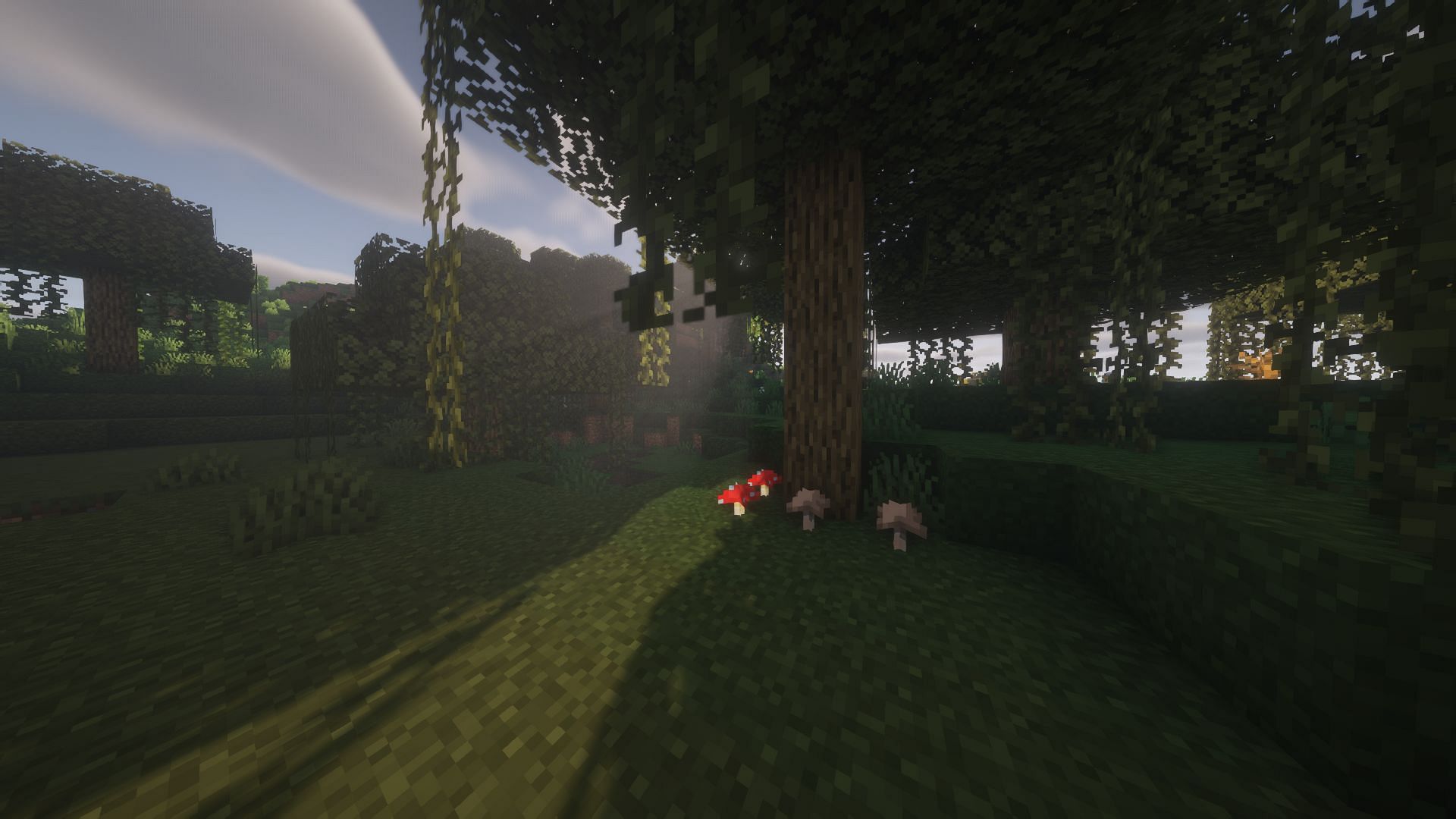 Mushrooms in a swamp biome (Image via Minecraft)