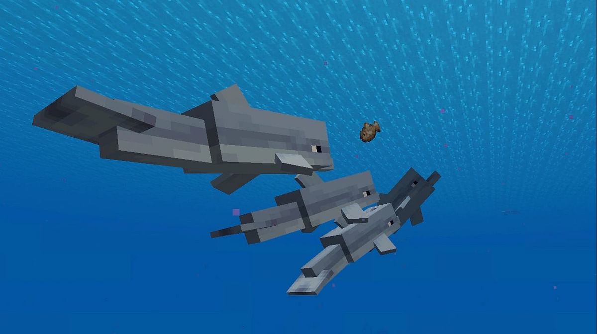 How To Give Yourself Dolphin S Grace In Minecraft With Commands Bedrock