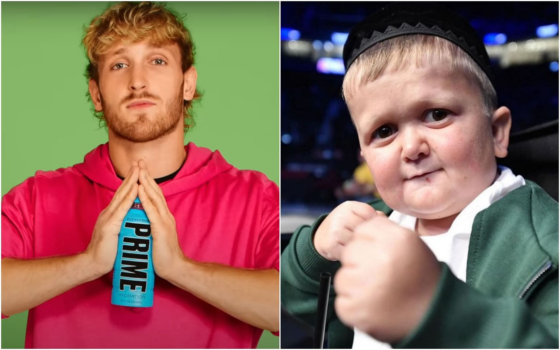 Logan Paul responds to Hasbulla's fight challenge with a hilarious meme