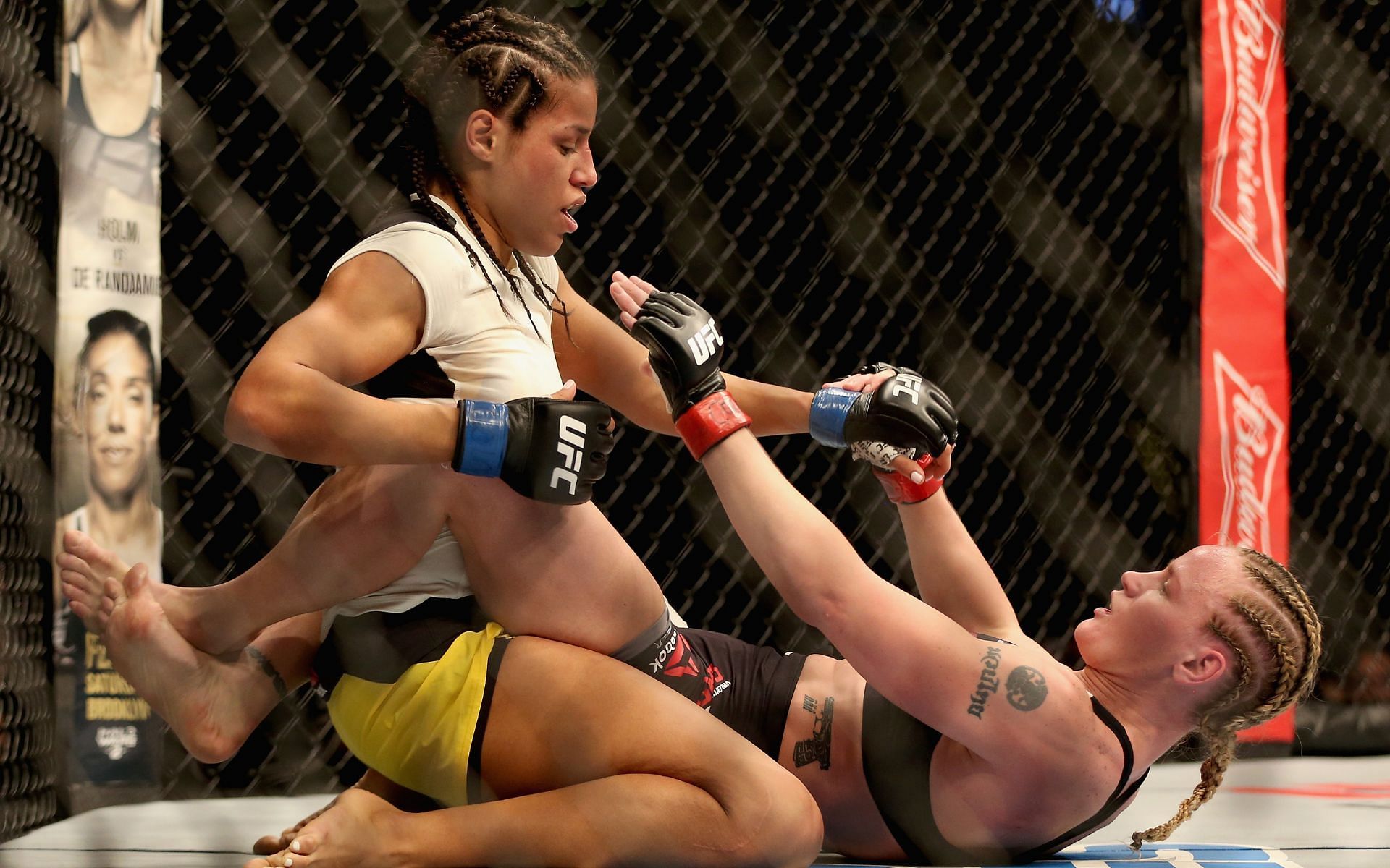 Julianna Pena (left) in action with Valentina Shevchenko (right) in January 2017