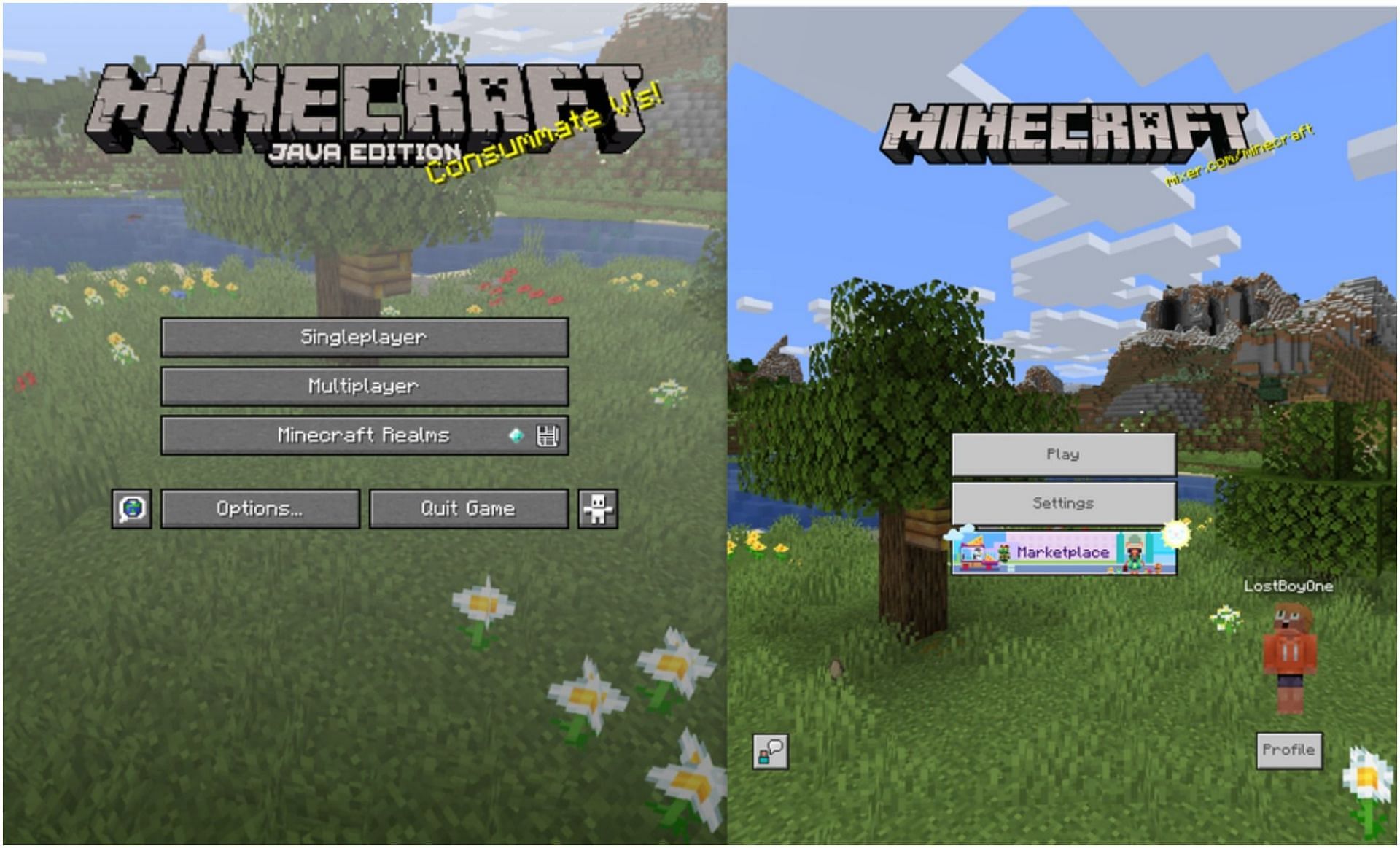Both versions are insanely popular (Image via Minecraft)