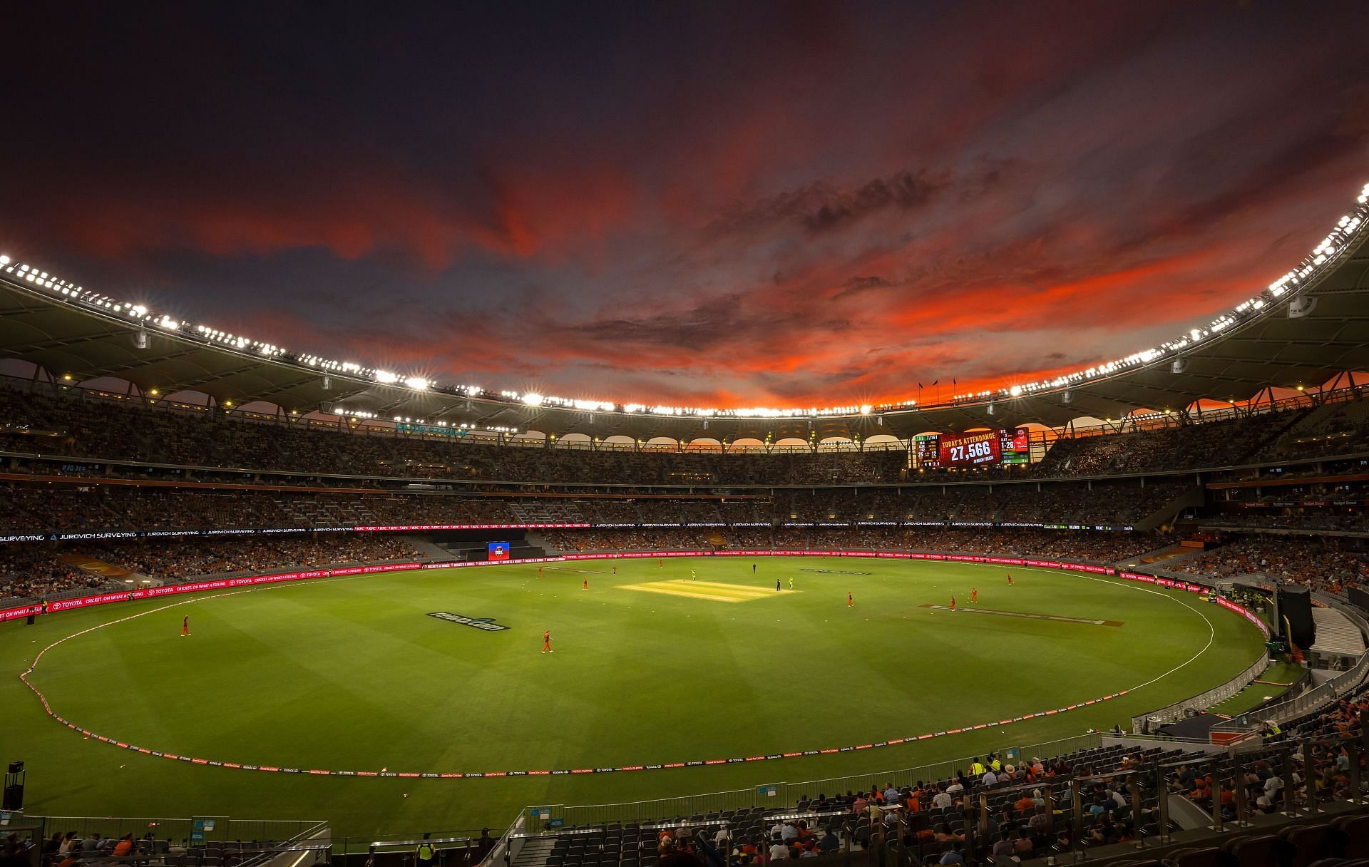 BBL - Scorchers v Thunder