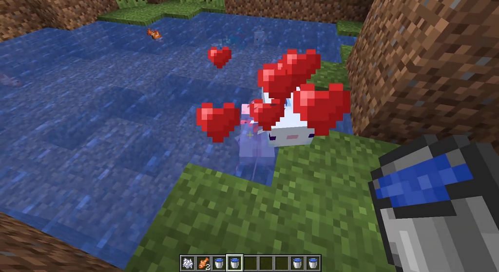 Taming them with tropical fish (Image via Minecraft)