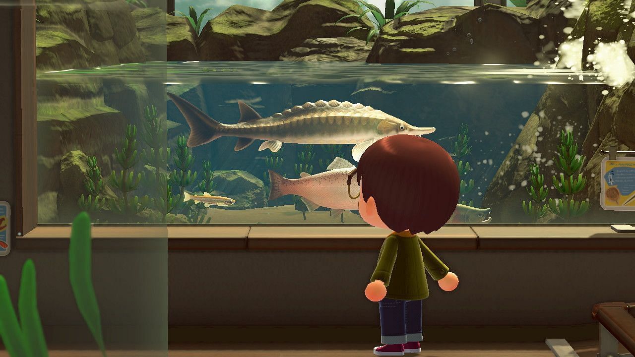 February brings about a lot of changes in Animal Crossing: New Horizons (Image via Nintendo)