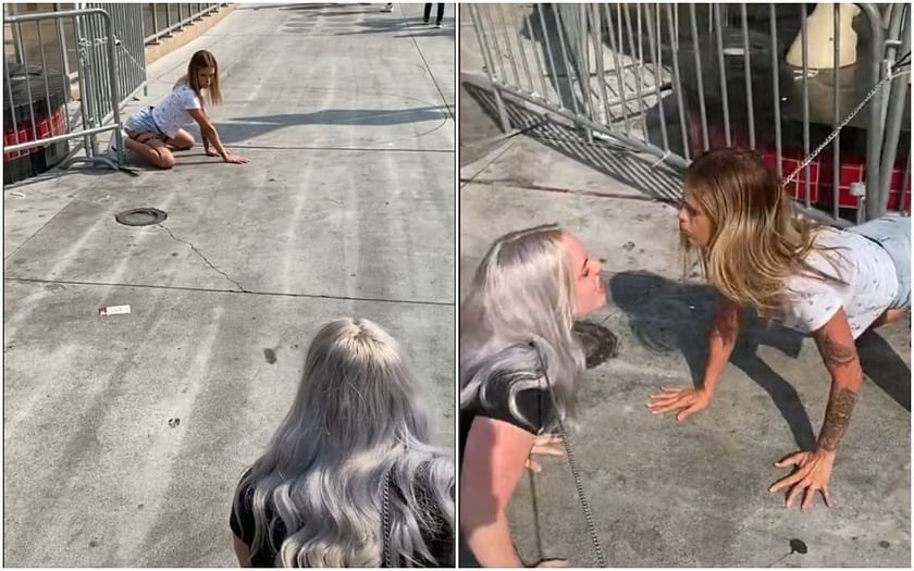 Who is Jenna Phillips? TikToker who quit job to be a full-time puppy fights with another dog on street