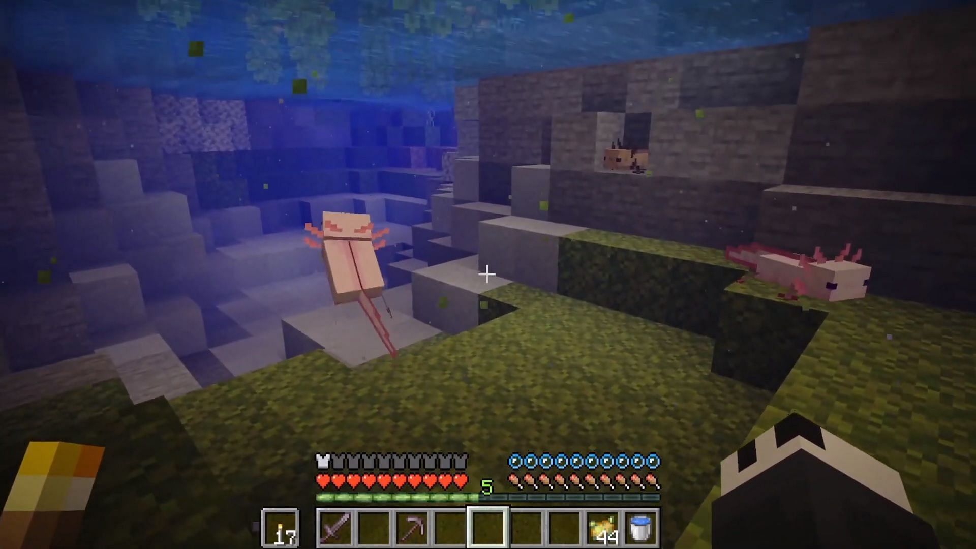 Axolotls in Minecraft 1.18 (Image via Mojang)