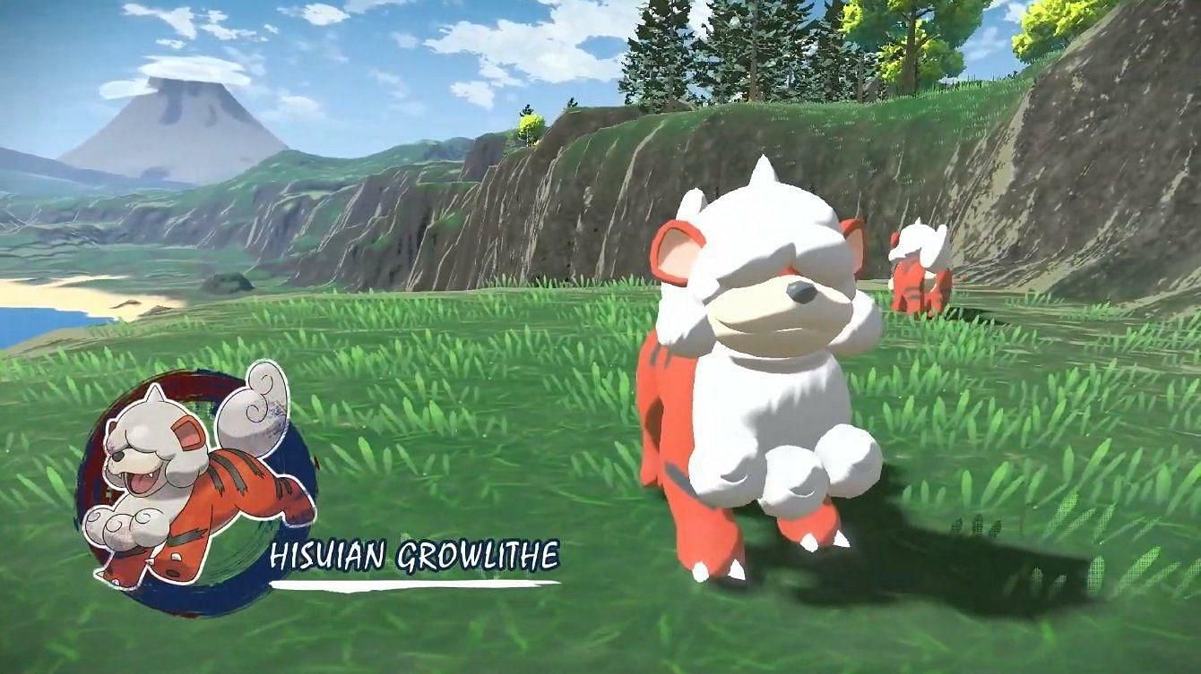 Hisuian Growlithe will evolve into Hisuian Arcanine (Image via Game Freak)